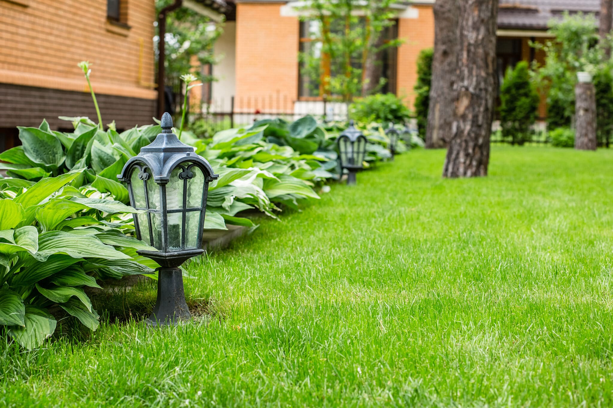 Garden lantern outdoor lighting on the green grass. 