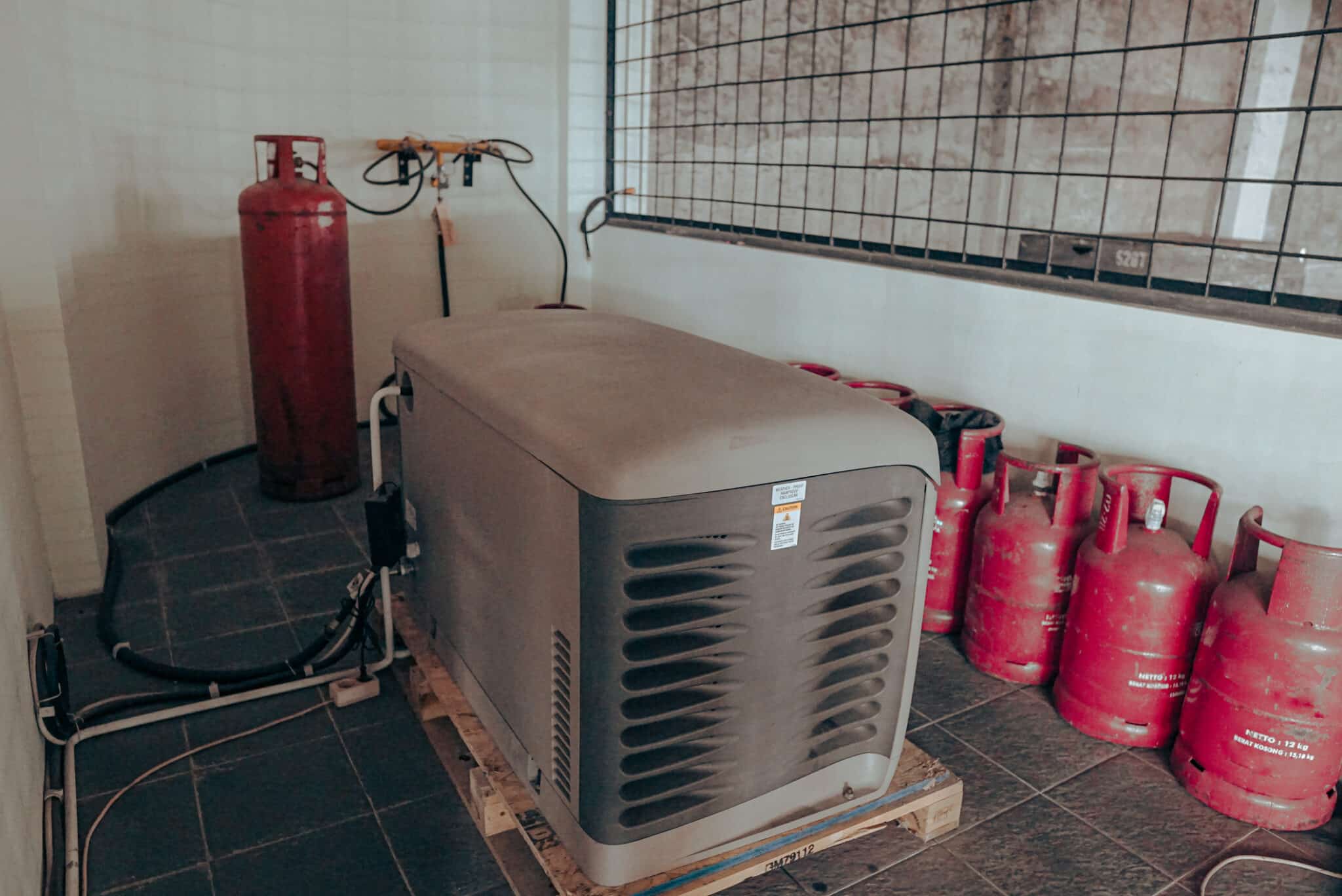Energy Storage Options Standby Generator in the backyard.