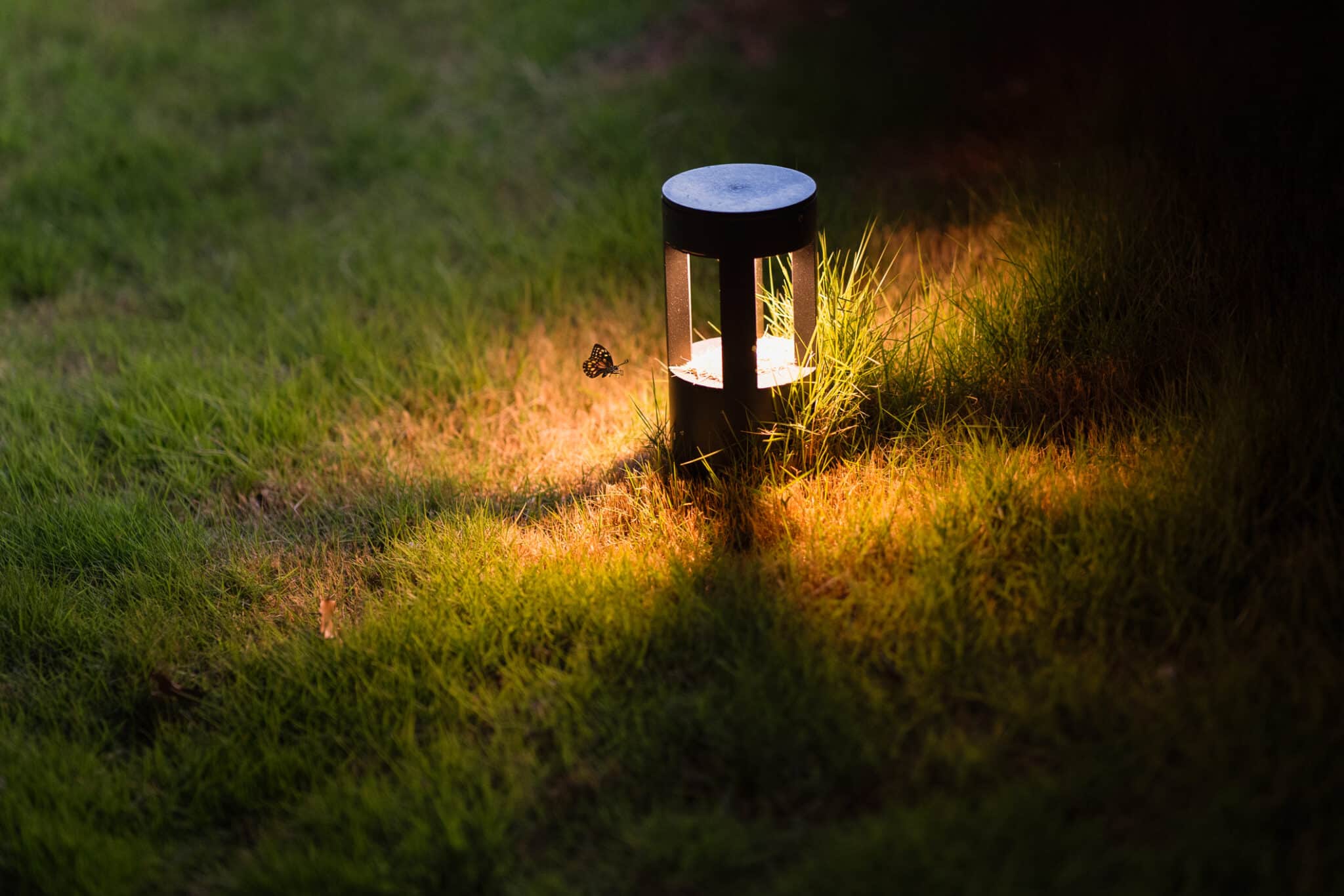 Wild-friendly outdoor lighting.