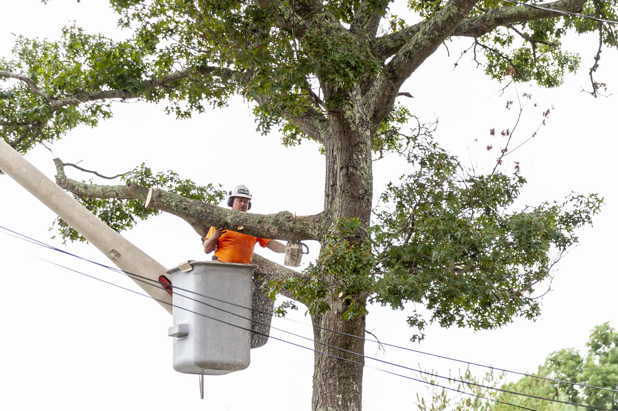 Tree cutter cutting through branch, Service mast repair.