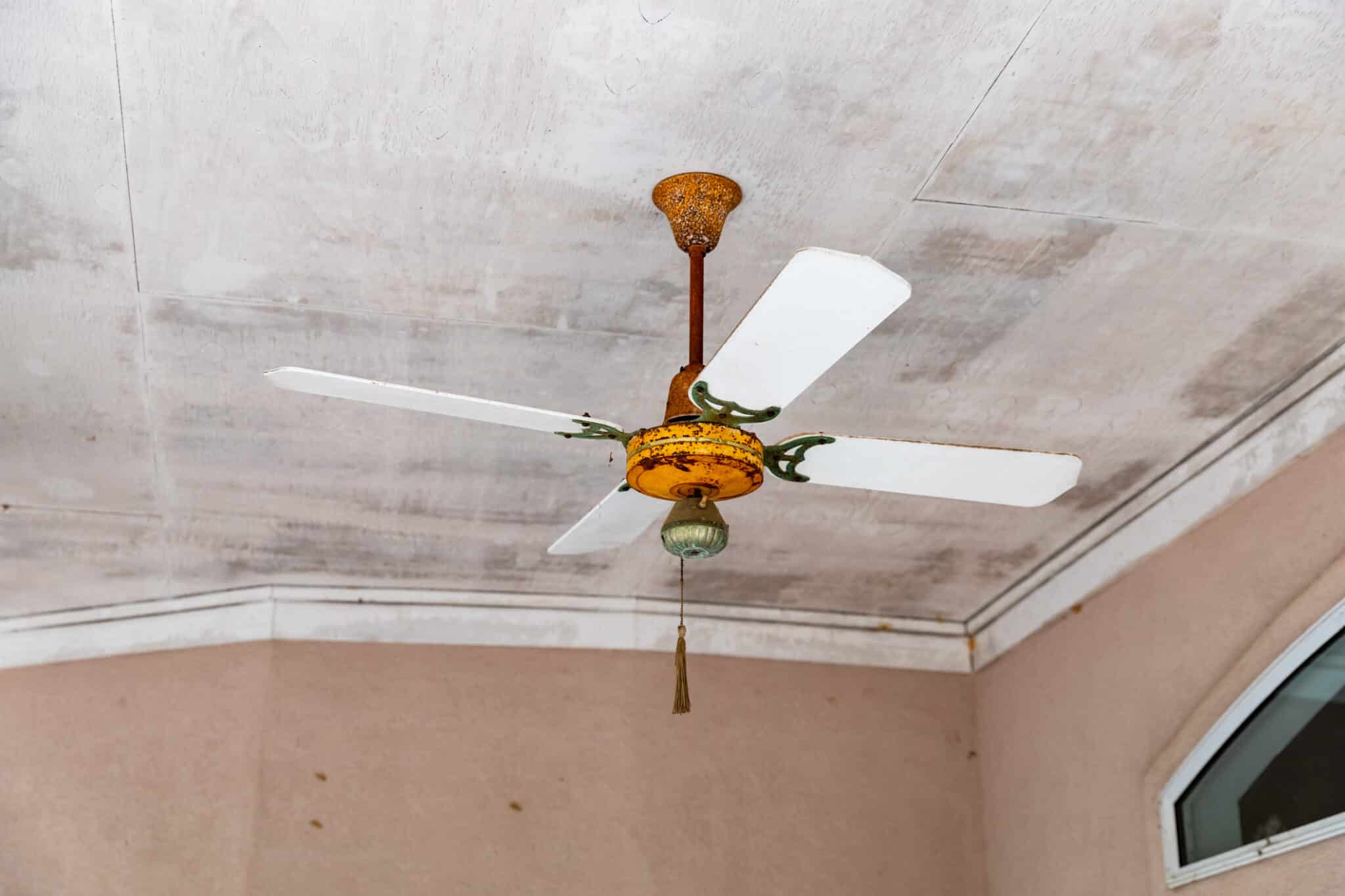 Broken ceiling fan needing to be replaced, Fan speed control.